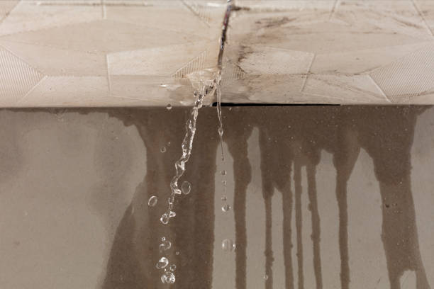 Professional Burst Pipe Cleanup technician working in Surry, ME